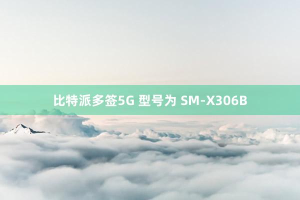比特派多签5G 型号为 SM-X306B