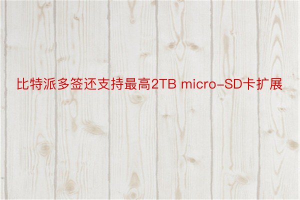 比特派多签还支持最高2TB micro-SD卡扩展
