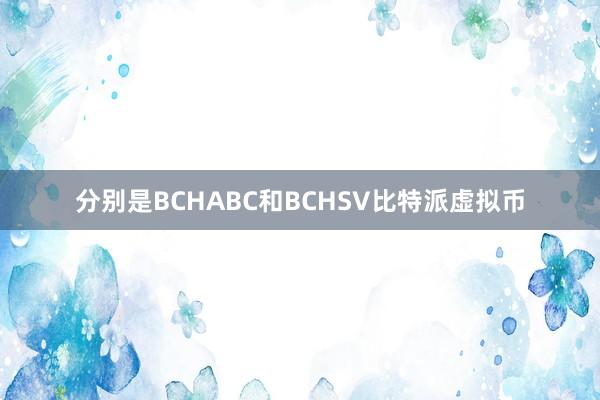 分别是BCHABC和BCHSV比特派虚拟币