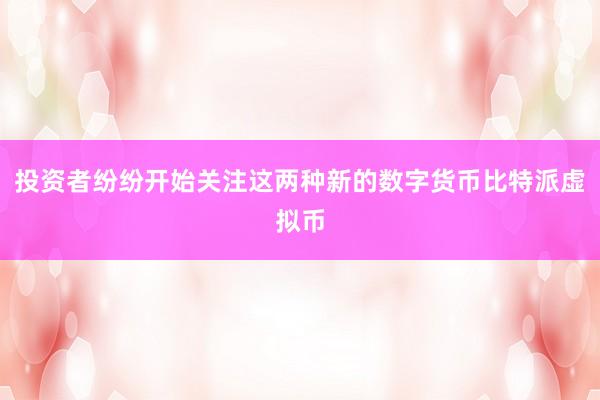 投资者纷纷开始关注这两种新的数字货币比特派虚拟币