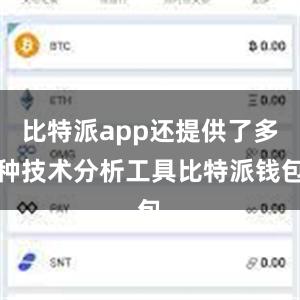 比特派app还提供了多种技术分析工具比特派钱包