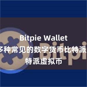 Bitpie Wallet 支持多种常见的数字货币比特派虚拟币